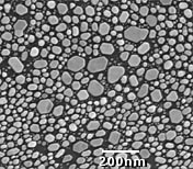 SEM Test Specimens 617-F