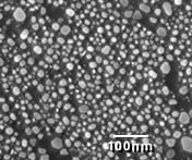 SEM Test Specimens 617-F