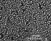 SEM Test Specimens 617-F
