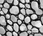 SEM Test Specimens 617-F
