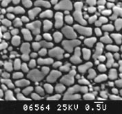 SEM Test Specimens 617-F