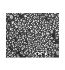 SEM Test Specimens 617-3F
